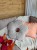 16789.jpg
