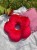 image00004.jpeg
